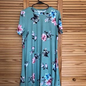 Amelia James Chelan Dress. NWT.